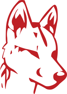 Dingo Dog